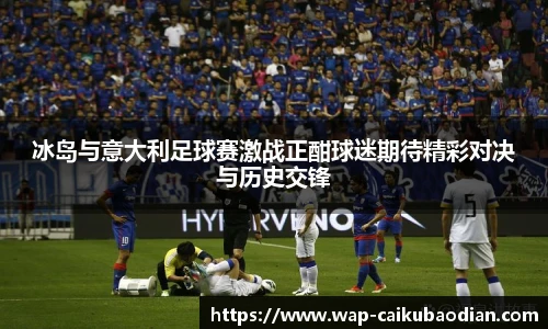 冰岛与意大利足球赛激战正酣球迷期待精彩对决与历史交锋